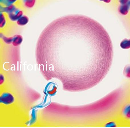 California Cryobank，加州精子銀行實用指南