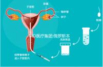 MD醫(yī)療集團:俄羅斯本土已上市的一家母嬰醫(yī)療機構