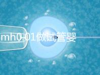 amh0.01做試管嬰兒有成功的嗎?有無卵子才是好孕關鍵