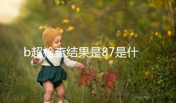 b超檢查結果是87是什么意思，不同醫院結果并不相同