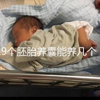 19個胚胎養囊能養幾個真難說，質量好都成功了也屬正常