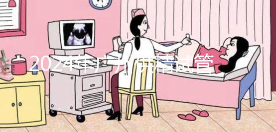 2024年廣州供精試管嬰兒最新價格表，必須符合要求