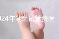 2024年湖北試管費(fèi)醫(yī)療保險(xiǎn)可以報(bào)銷?專家:時(shí)間還沒到?