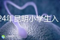 2024年昆明小學生入學政策出臺，五華區(qū)年齡限制重點