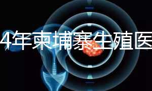 2024年柬埔寨生殖醫院排名，試管嬰兒都在這里