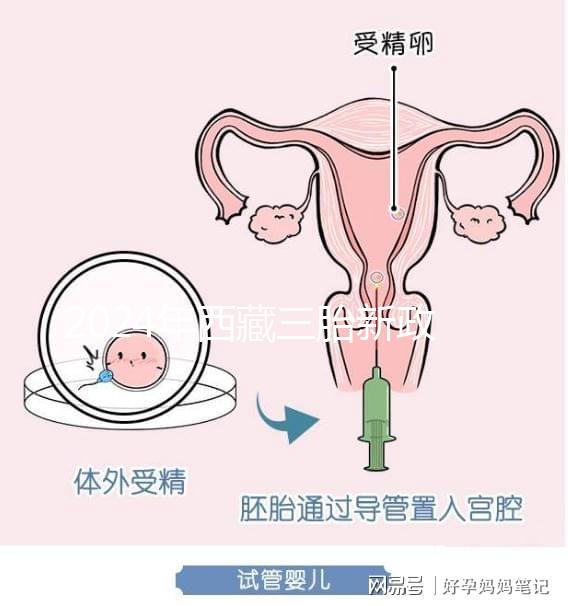 2024年西藏三胎新政策出臺，拉薩、日喀則產假戳多久？