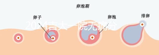 2024吉大一院無(wú)痛分娩費(fèi)用全策略包括從備案到生產(chǎn)