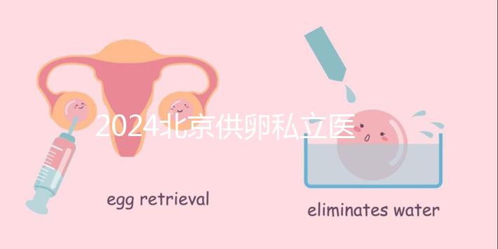 2024北京供卵私立醫院排行一覽，這三家機構竟在名單中
