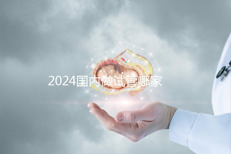 2024國內(nèi)做試管哪家醫(yī)院成功率最高?附排行榜前十名醫(yī)院推薦
