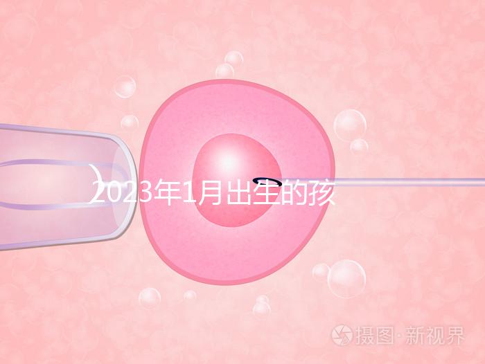 2023年1月出生的孩子取名宜忌要早知，星座、屬相均有講究