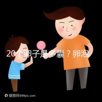 20個卵子是多囊?卵泡多≠多囊卵巢,排卵與否是關(guān)鍵