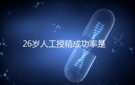 26歲人工授精成功率是多少?生殖醫生給出權威數據