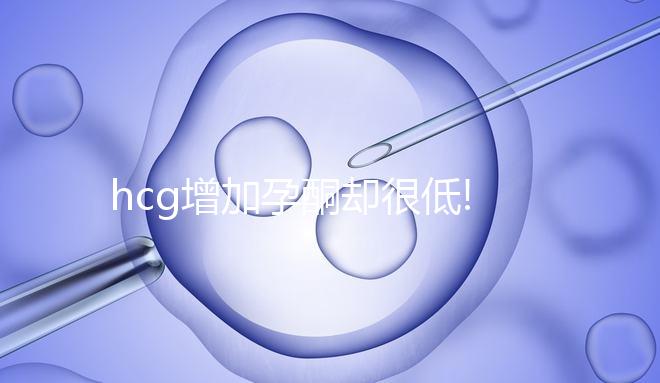 hcg增加孕酮卻很低!準媽媽們吃這些食物補得快